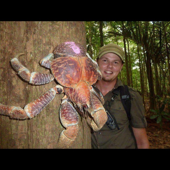 😍Bundle up your likes 😍 - Picture 13 of 16